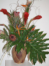 Florescence 2009